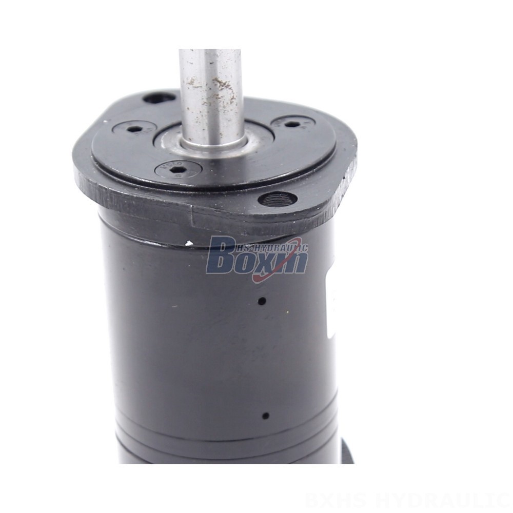 Reliable BMM Cycloid Hydraulic Motor 8 cc/r 14 Lpm - Direct from Manufacturer detail image